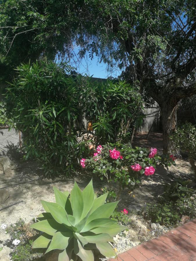 Finca San Diego, villa entera para ti Vallonga Esterno foto